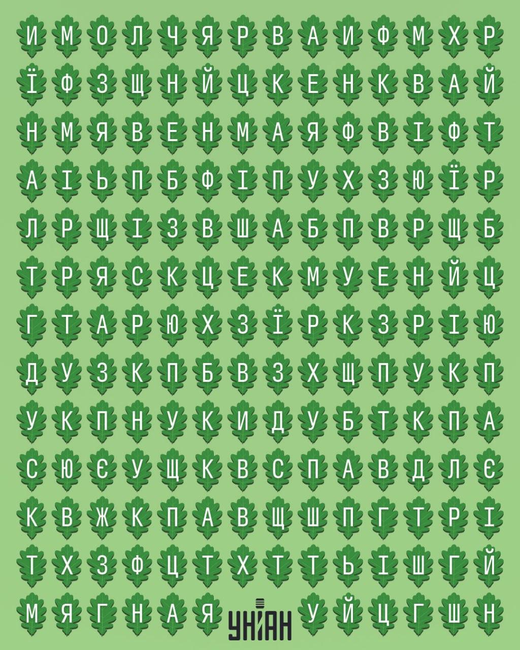 Slechts 1% van de mensen kan het woord 'eik' vinden in 11 seconden: een verrassend moeilijke puzzel