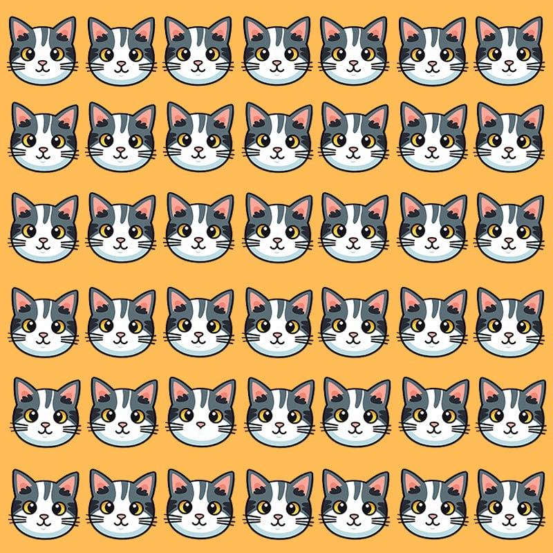 Deze optische illusie is alleen mogelijk voor mensen met een grandioos IQ / Moje image