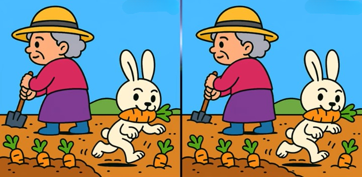 puzzel