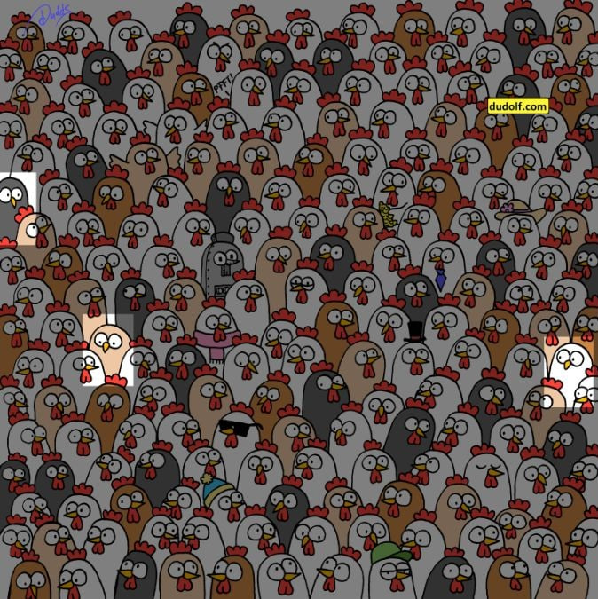 Waar de drie uilen verstopt zijn: slechts 1% van de mensen voltooit de puzzel in 10 seconden