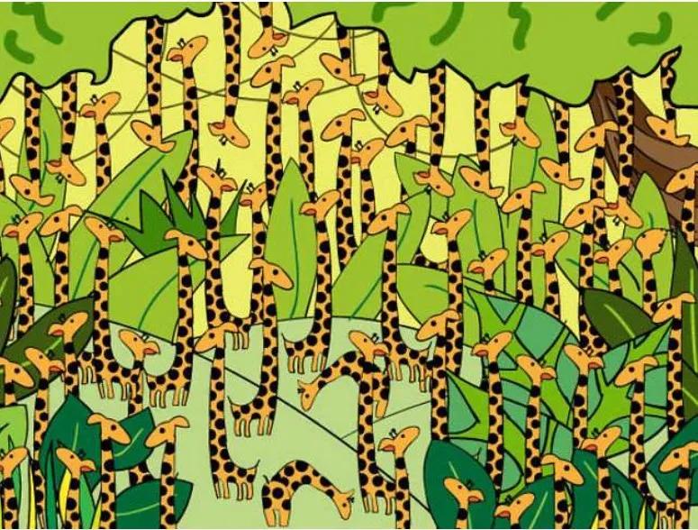 Vind de slang tussen de giraffen / The Sun