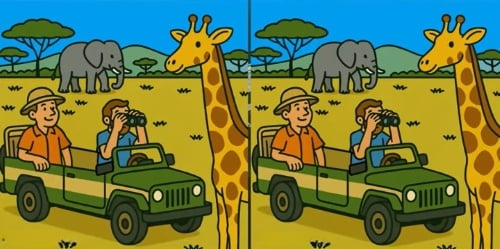 puzzel puzzel