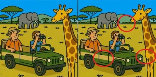 puzzel puzzel