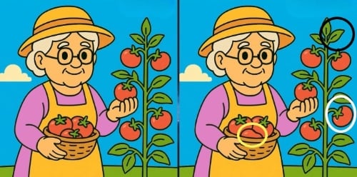 puzzel puzzel