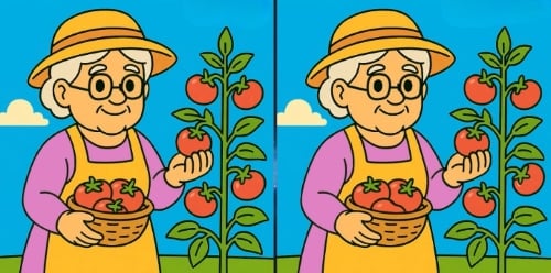 puzzel puzzel