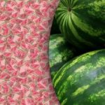 Een prachtige optische illusie: slechts een paar vinden een speciale