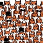 Een puzzel voor mensen met een haviksachtig gezichtsvermogen: vind de