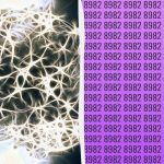 Eenvoudige IQ-test: vind het extra getal in 9 seconden
