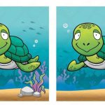 Wat is het verschil tussen twee schildpadden: vind 6 verschillen